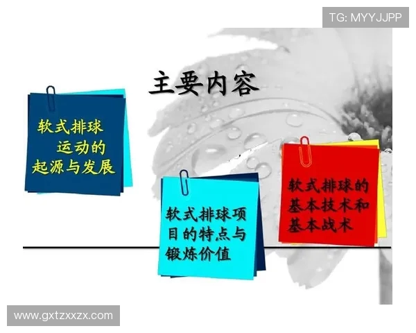 南京排球队的节奏分析与战术创新探讨
