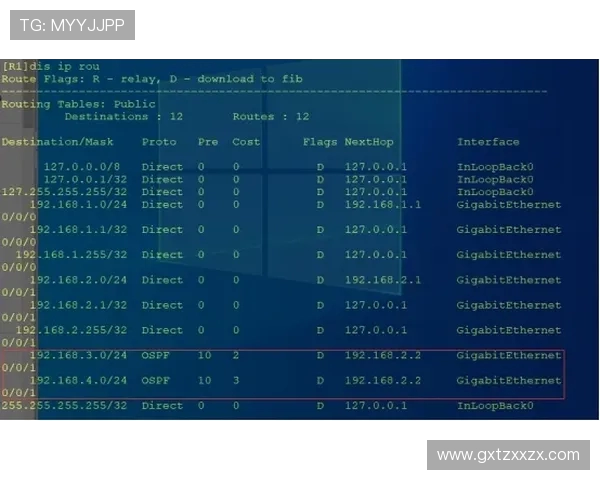 杭州网球队进攻策略解析：如何在比赛中掌控主动权与节奏